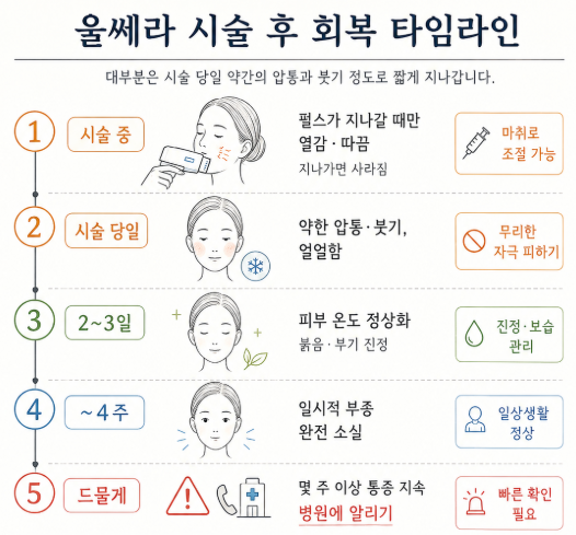 울쎄라 시술 후 회복 경과를 시점별로 정리한 타임라인