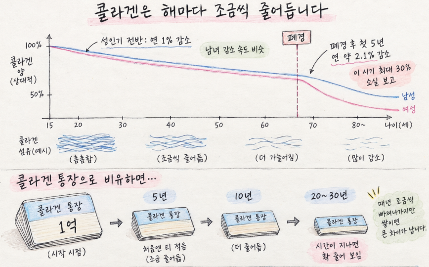 콜라겐은 언제부터 줄어드나요? 피부가 얇아지는 신호