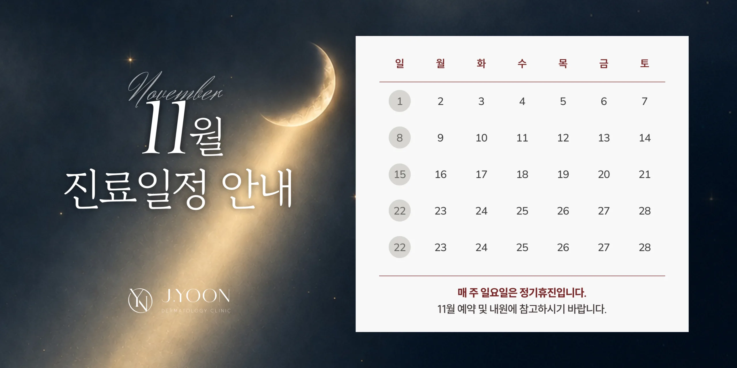 11월 진료 일정